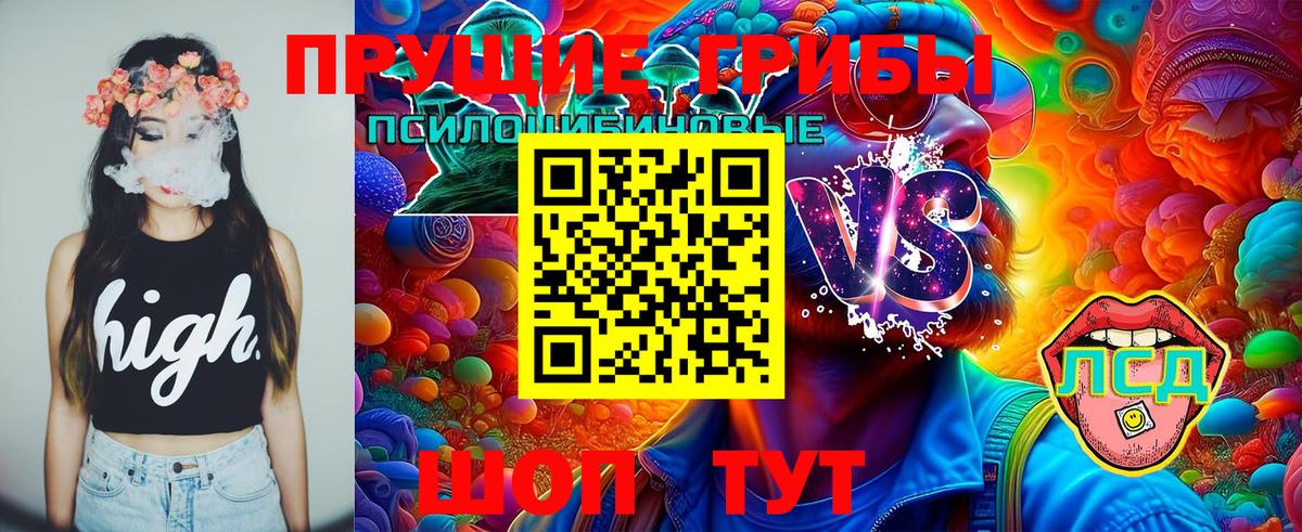 Борисоглебск  магазин продажи наркотиков  Вход с VPN  Псилоцибиновые грибы прущие грибы  Псилоцибиновые грибы Cubensis 